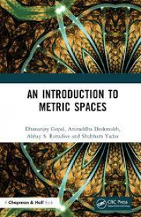 An introduction to metric spaces