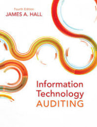 Information technology auditing